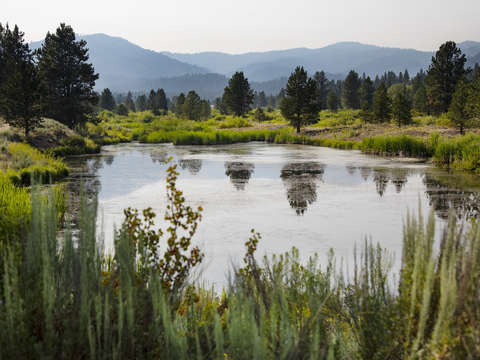Idaho beauty