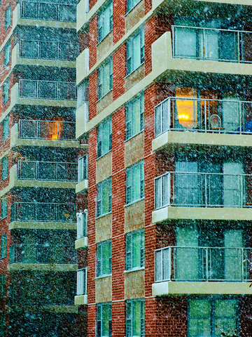 The nor easter