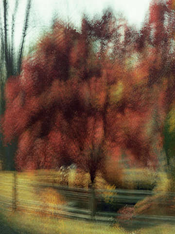 Autumn impression