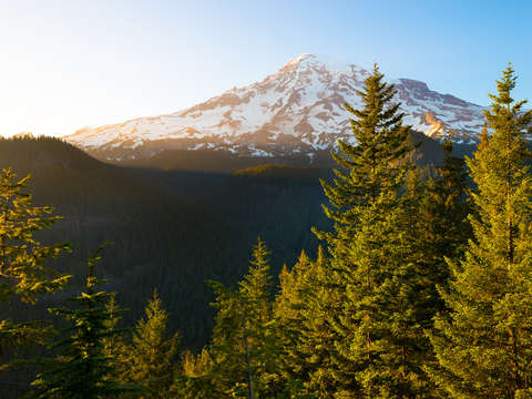 Mount rainier 6