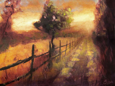 Road at sunset florence italy