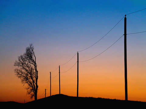 Abstract silhouette