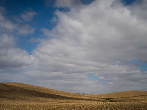 Fly over state