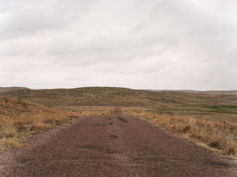 Road less traveled 2