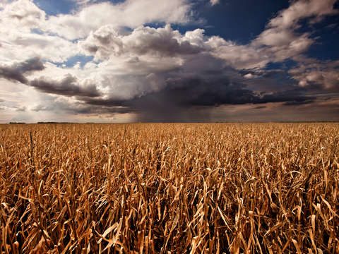 Pin pointed storm