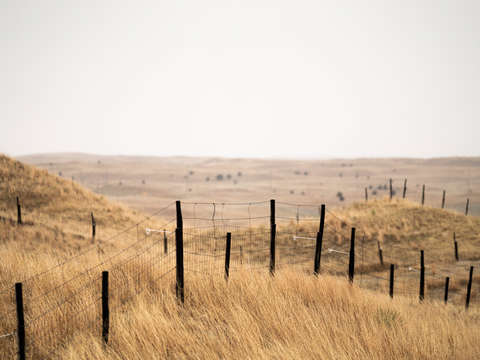 Seneca nebraska