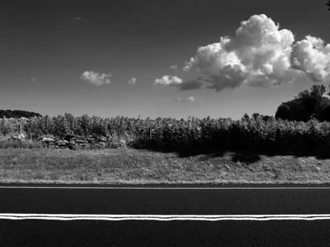 The road home 2