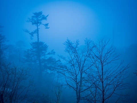 Himalaya fog
