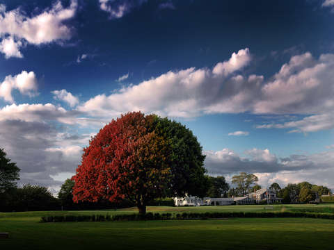 Golfers handicap
