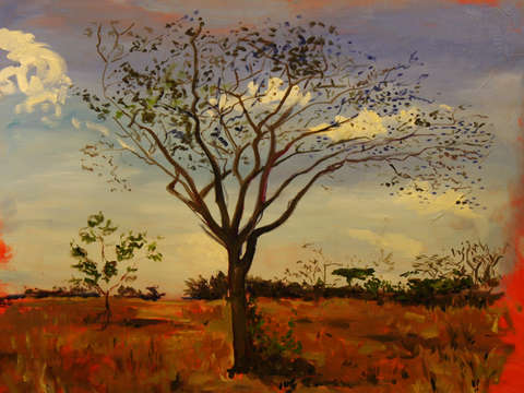 Umbrella Tree