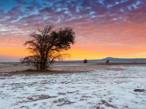 The atacama salt lake