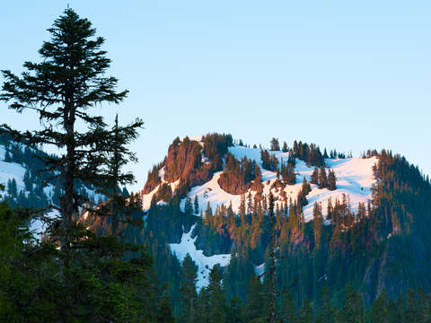 Mount rainier national park 8
