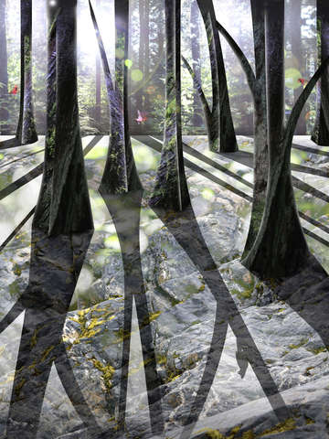 Through the woods 4