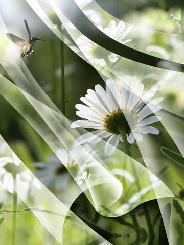 The momentary