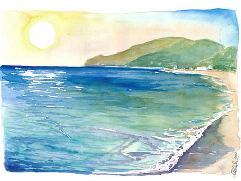 Tropical beach dreams in grand anse d arlet martin