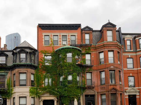 Back bay brownstones