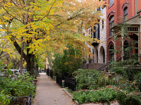 Chicago brownstones in fall