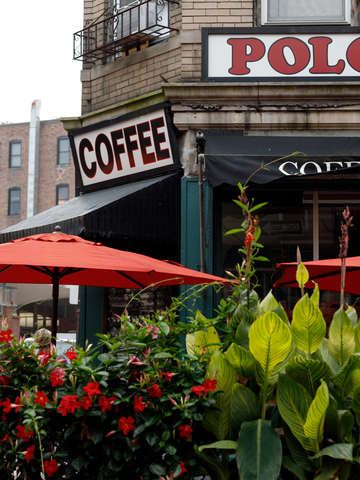 Coffee in the north end