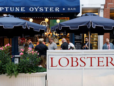 Waiting for oysters