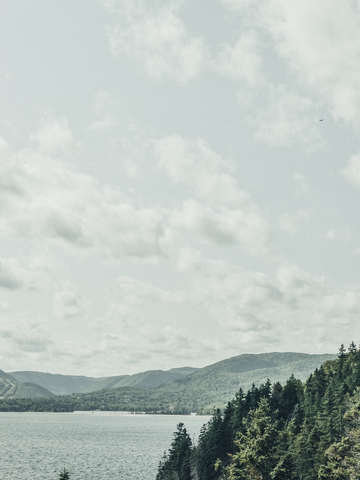 Beautiful earth