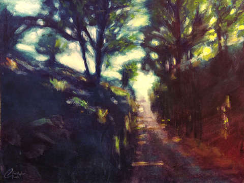Tree shaded path florence italy