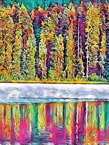 Trees on takhlakh lake