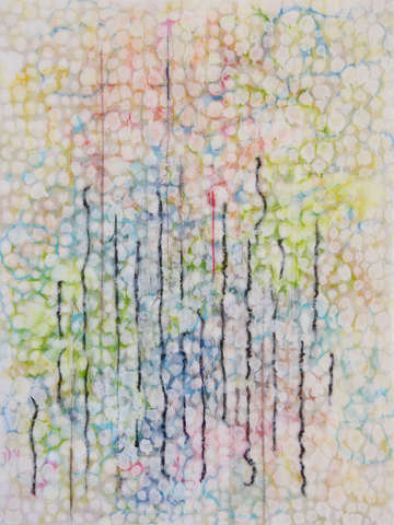 Variations on natural occurrences 2 2