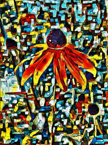 Rudbeckia in bloom