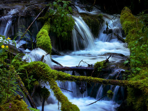 Fairy falls trail