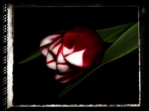 Spring-7