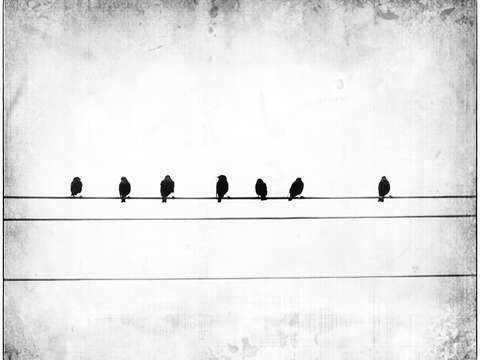 Sheet music