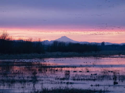 Early morning view