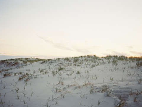 Dunes 3