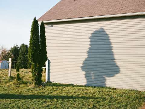 Shadow 3