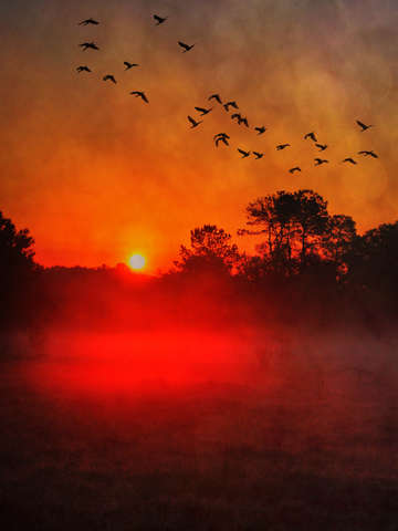 Florida morning