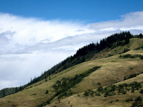 Rolling hills 3