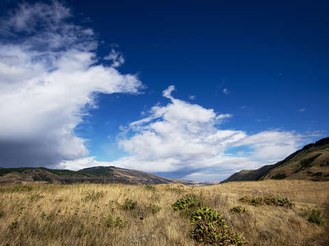 Rowena crest plateau