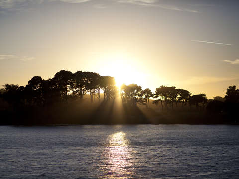 Sunsets and silhouettes