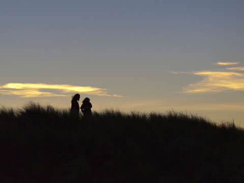 Sunsets and silhouettes 2
