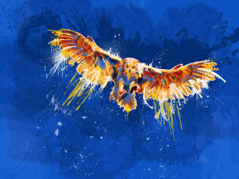 Night owl bird illustration
