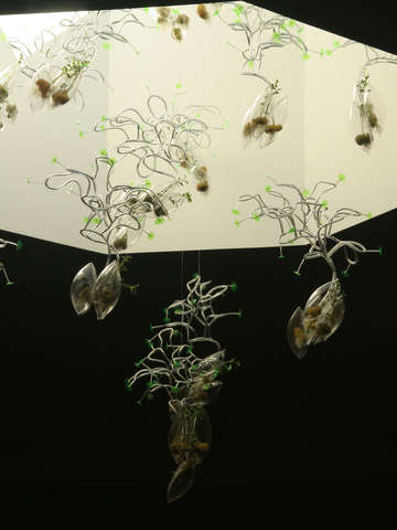 Terrarium green series 1