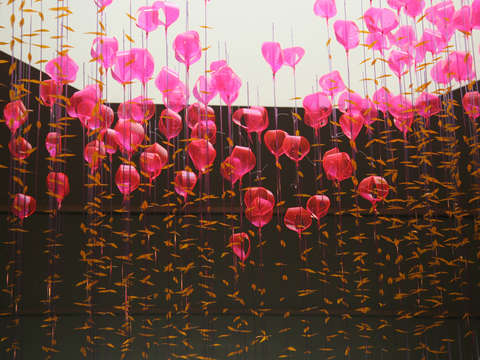 Terrarium pink series