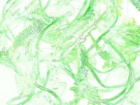 Netplants green 2