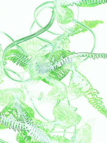 Netplants green 8