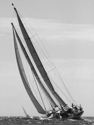 Summerwind black white 2009 newport bucket regatta