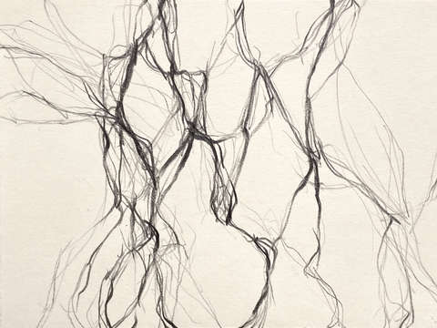 Dancer 6