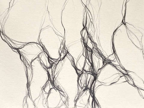 Rivulets