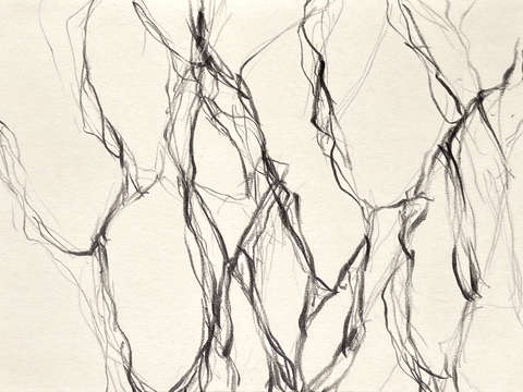 Interstice