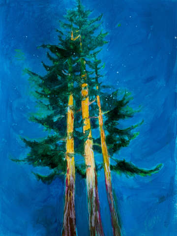 Night tree study