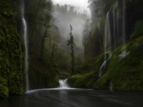 Curtains in the fog
